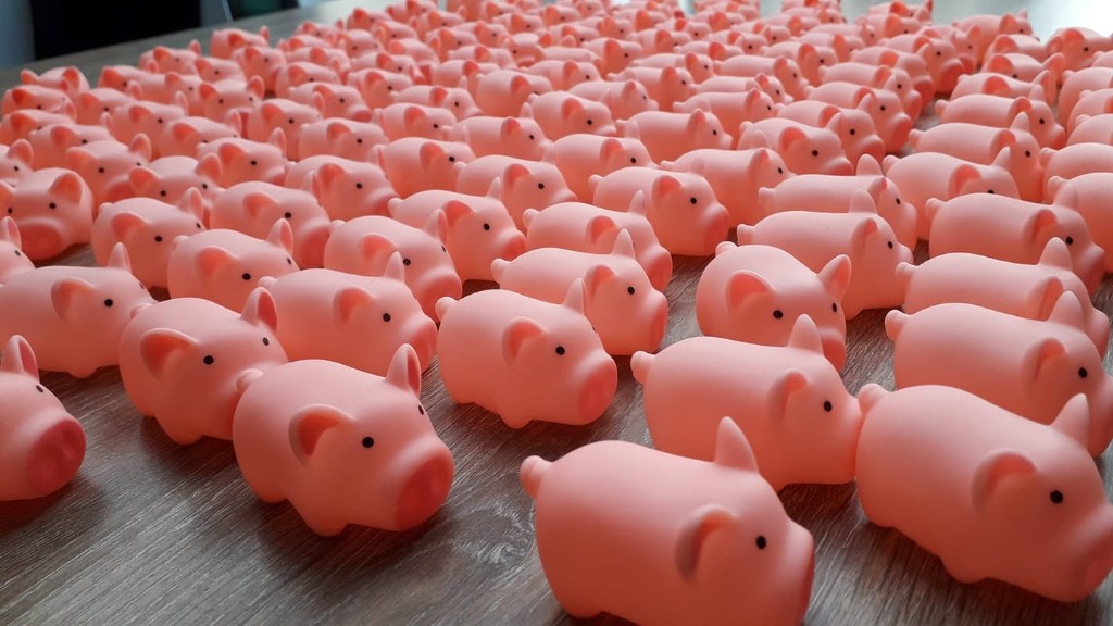 Une armée de petits cochons roses